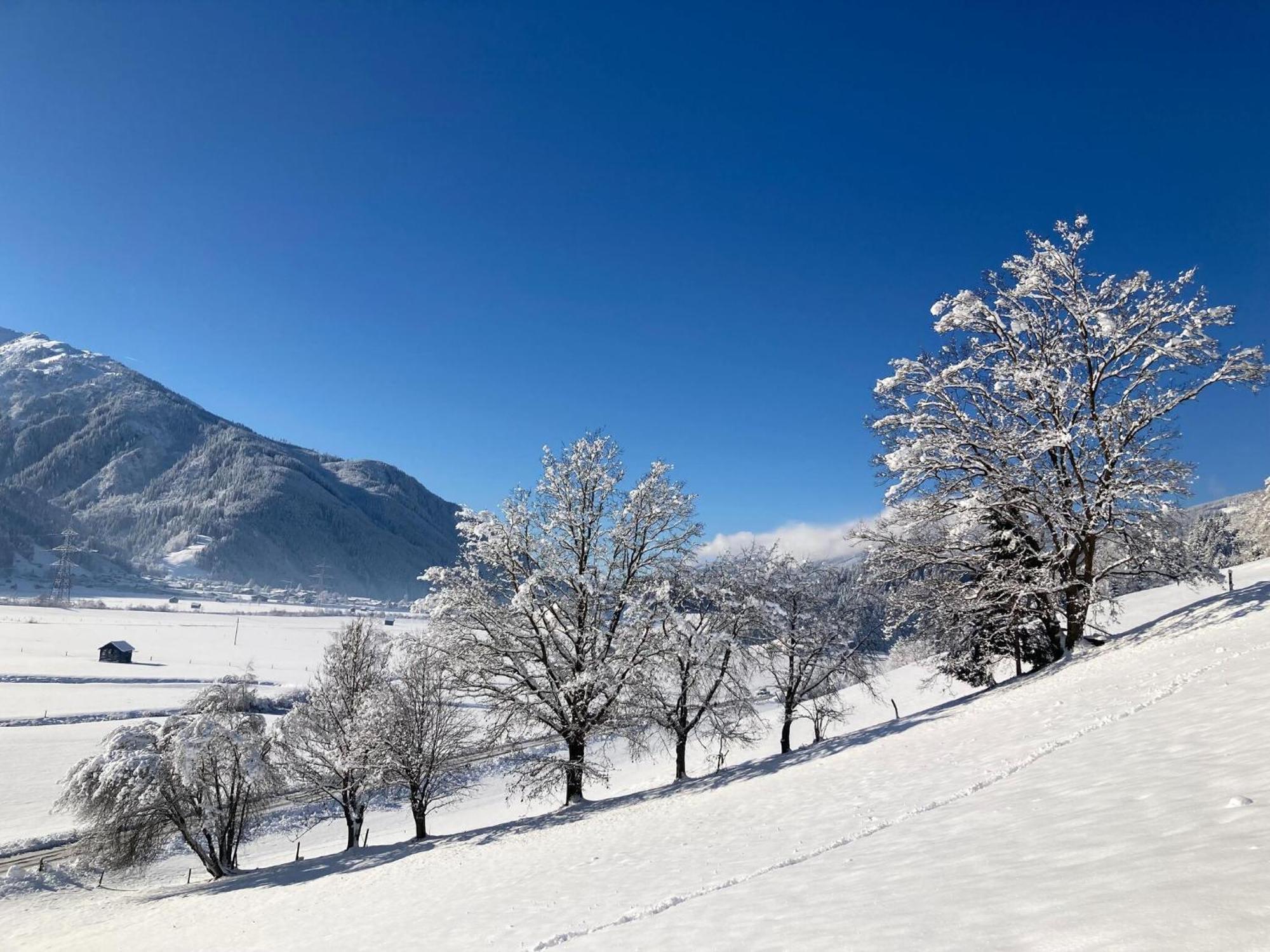 Holiday Apartment In Pinzgau With A Large Terrace Миттерзилль Экстерьер фото